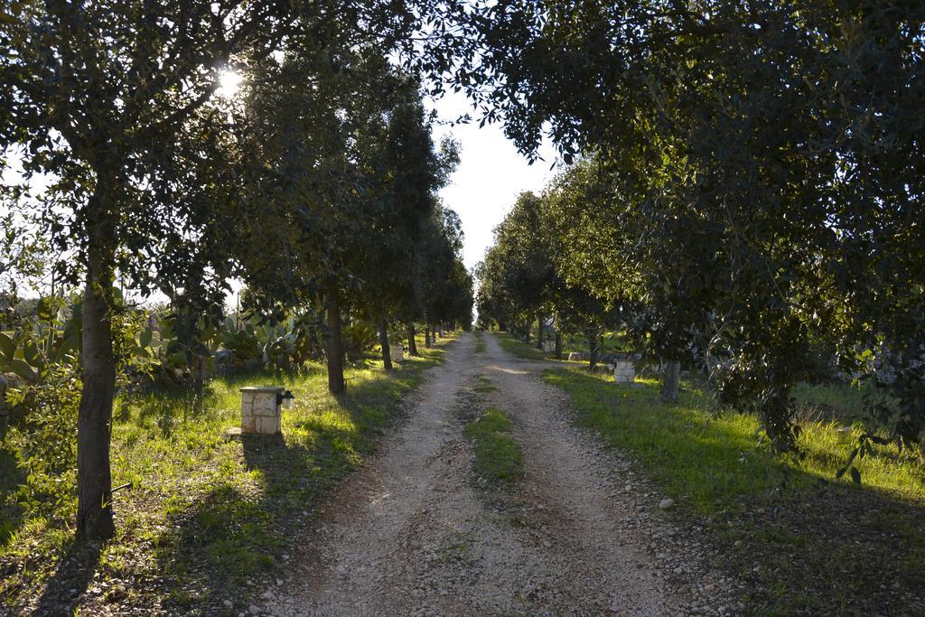 B&B Masseria Del Marchese Castellana Grotte Ruang foto